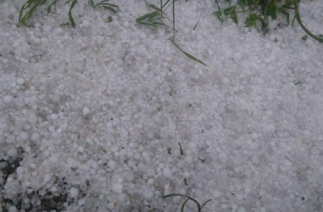 Само плодове и зеленчуци са засегнати от градушката