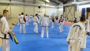 Фолкън с 14 златни медала в Румъния