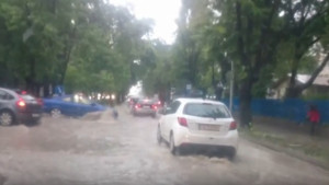 80 л квм валежи са се изсипали край Варна