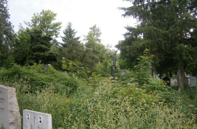 Започна косенето на гробищните паркове в Плевен