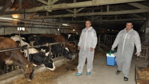 Още не са раздадени ваксините за животните