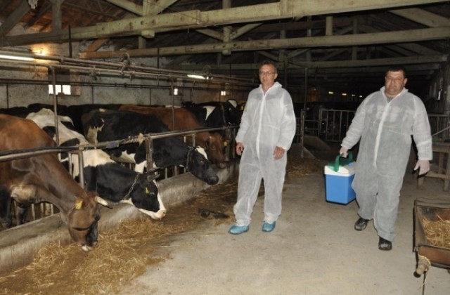 Още не са раздадени ваксините за животните