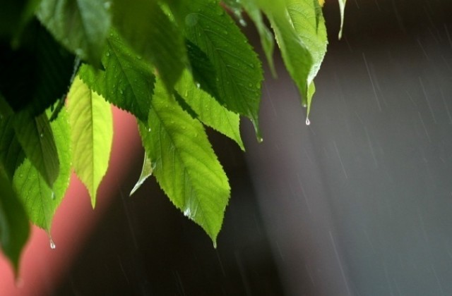 Времето на 20 май: Отново валежи