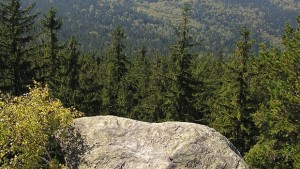 Какво накара младо семейство да възстанови емблематично място на Витоша