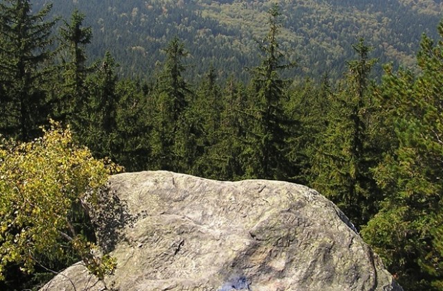 Какво накара младо семейство да възстанови емблематично място на Витоша