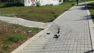 Пропадна част от алея в обновен квартал в Ловеч