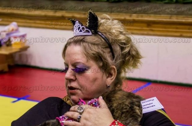 Известното шоу на котките започва в Спорта зала Орловец в Габрово