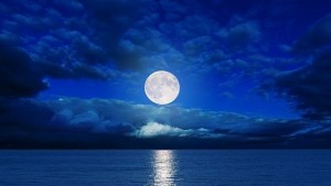 Продадоха на търг артефакти свидетелстващи за първото кацане на човек