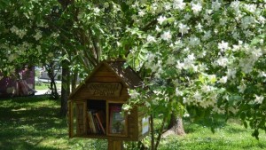 Пуснаха на свобода първата книга във Враца