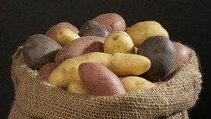 Американски биолози създадоха полезни лилави картофи