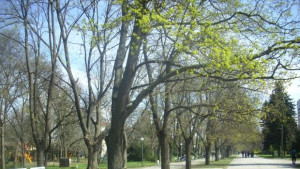 Празник за биоразнообразието в Младежкия парк на 30 май