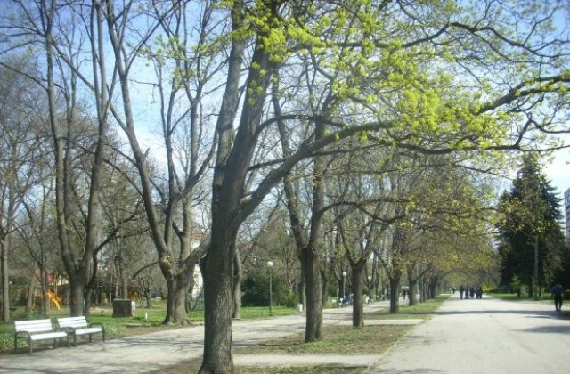 Празник за биоразнообразието в Младежкия парк на 30 май