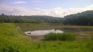 Общината възстановява язовир Образцов чифлик