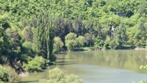 28 май Ден на парковете в България