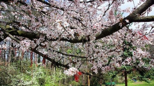 Слънце и дъжд ще се редуват в събота