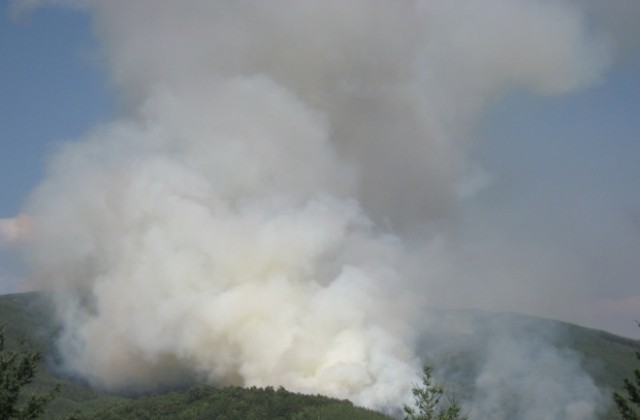 Гъст дим в борова гора край архитектурния резерват Арбанаси вдигна