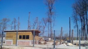 В Зоокъта семейство мечки обитават 3 дка с езеро маймуните