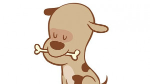 Умен кокал развлича кучета