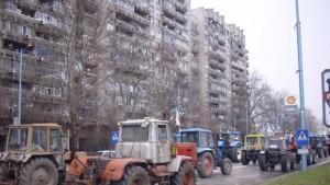 Добра зърнена реколта цените обаче може да са ниски