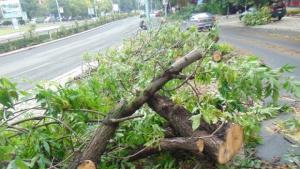 Времето на 3 юни Превалявания гръмотевици и усилване на вятъра