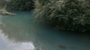 Очакват се повишения на нивата на реките Росица и Янтра