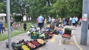 Горят половин тон плодове и зеленчуци от незаконен пазар в