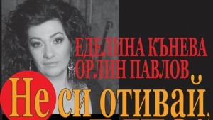 Найдоброто от Котките и Брилянтин