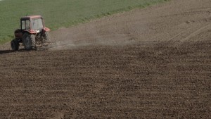 Заради субсидии стопани масово разорават земите си