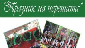 Празник на черешата подготвят за четвърти път в село Кирилово