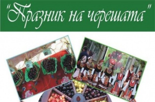 Празник на черешата подготвят за четвърти път в село Кирилово