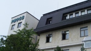 Малък щъркел е спасен от експерти на РИОСВ Велико Търново