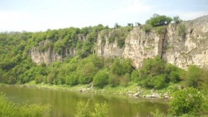 Горските служители се включват в голямото почистване