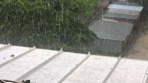 Гръмотевична буря връхлетя Пловдив