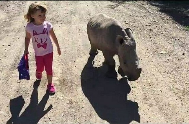 Дете се сприятели с бебе носорог (ВИДЕО)