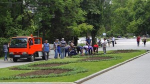 22 000 цветя храсти и дръвчета са засадени във Велико