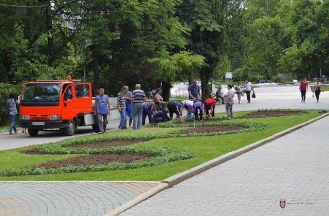 22 000 цветя, храсти и дръвчета са засадени във Велико Търново през пролетта