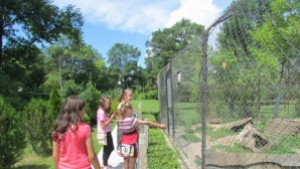 РИОСВ Велико Търново отбеляза Световния ден на околната среда с