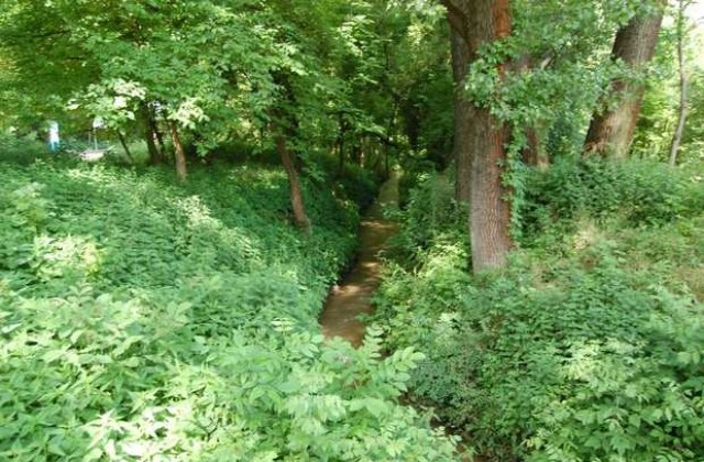 Паркстрой започна почистване на речните корита