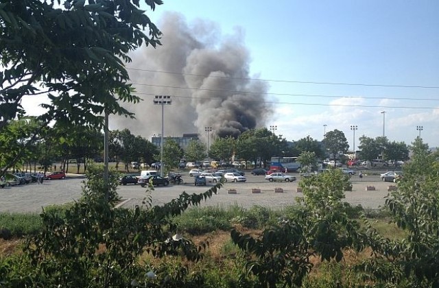 Посланикът на Израел: Нито една държава не може да се справи сама с тероризма