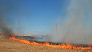 За поголяма отговорност по време на жътвената кампания апелират огнеборците