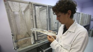 Лечими днес инфекции ще сеят смърт до пет години