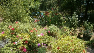 Прогноза за времето за 10 юни петък