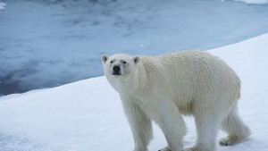 Учени с голям пробив в борбата с глобалното затопляне
