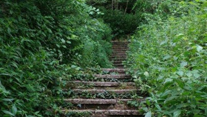 Екоакция в неделя Да почистим стълбите на Галата