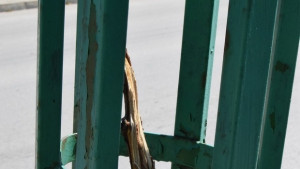 Отново вандалски набези върху дръвчетата в Горна Оряховица