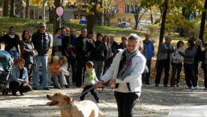 Организират парад на домашните любимци