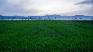 Времето на 12 юни Отново ще се редуват слънце и