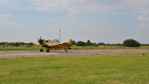 Започна пръскането срещу комари по поречието на Дунав