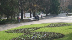 Във Велико Търново отново ще пръскат срещу кърлежи комари и