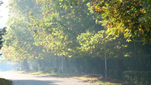 Жителите на Дебелец и Велчево чистят републикански път